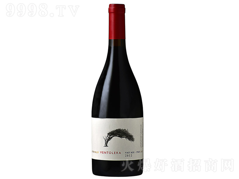 ���������R����Ƥ�Z�����ɼt���Ѿ�2016 750ml-�t�����Ϣ