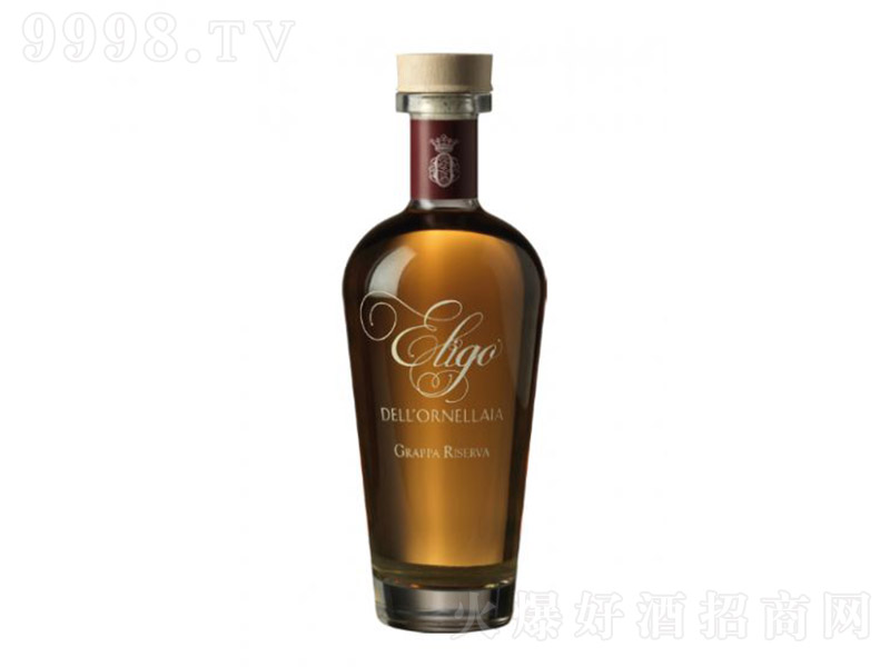 ������W�{�����f���s��500ml-�t�����Ϣ