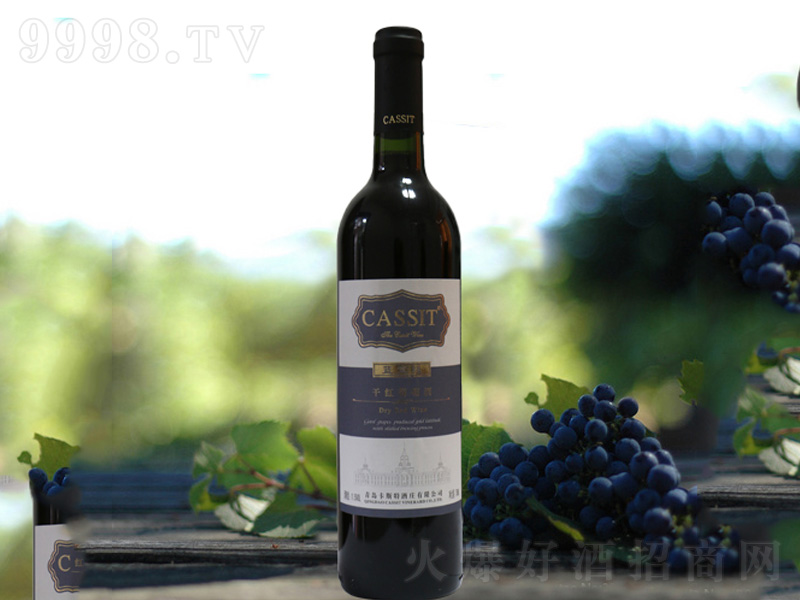 �忨˹�{�����ɼt���Ѿ�750ml-�t�����Ϣ