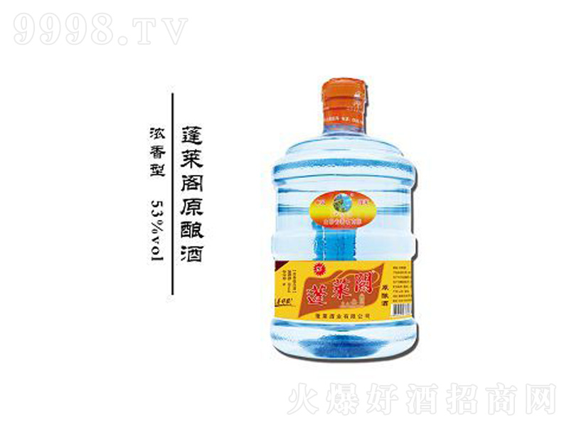 ���R��ᄾ�Ͱ�Ɲ����;ơ�53��500ml��-�׾����Ϣ