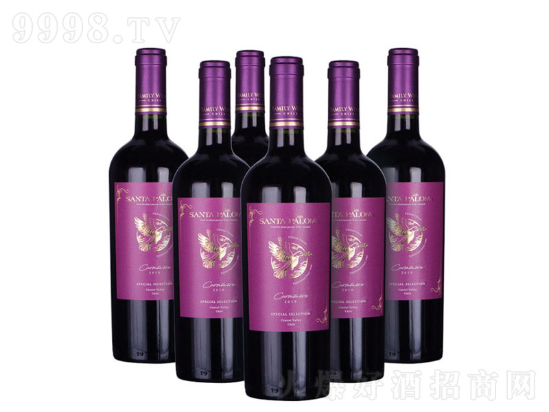 �t���M(j��n)�������t���Ѿơ�13��750ml��-�t�����Ϣ