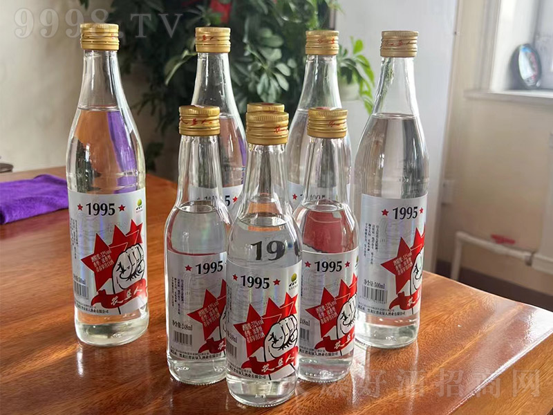 r(nng)1995ഺq°׾ ͡52248ml