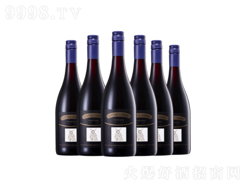 ����¶Сȸ�Һ�Ƥ�Z�ɼt���Ѿ�750ml-�t��������Ϣ