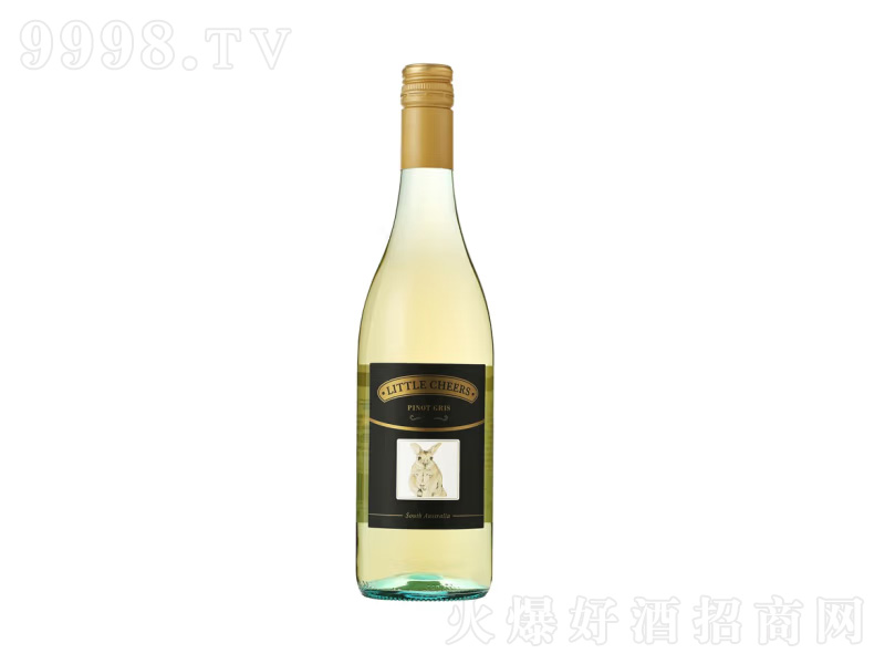 ����¶Сȸ�һ�Ƥ�Z�ɰ����Ѿ�750ML