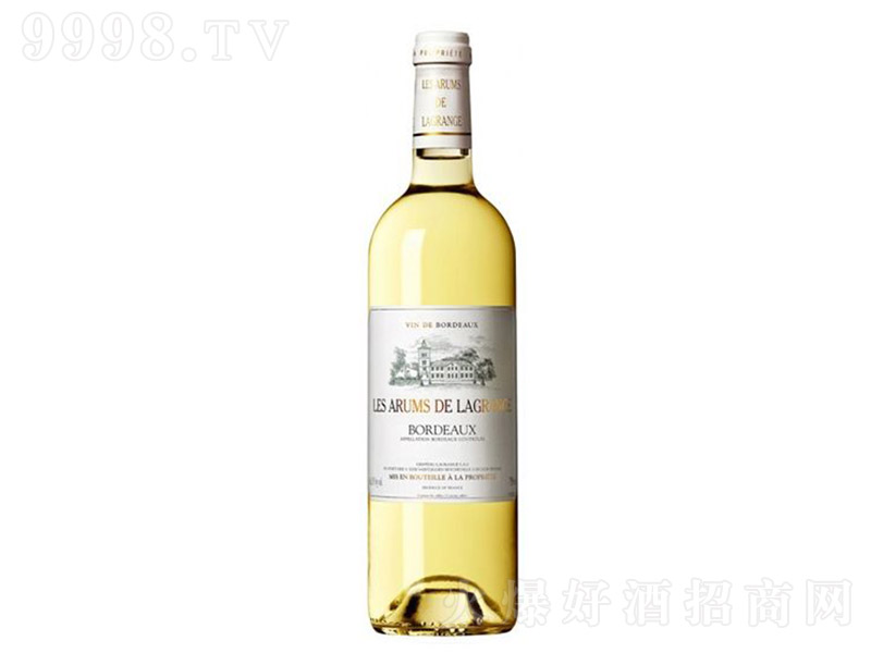 �������������P�f�@�ɰ����Ѿ�2018 1.5L