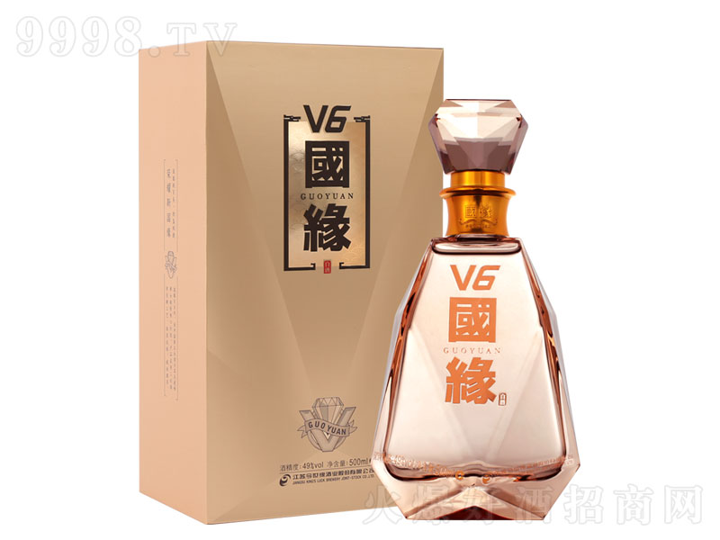 ����������V6�����;ơ�49��500ml��