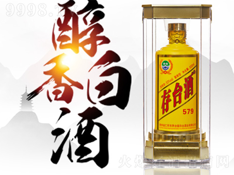 ���_��579 �u���͡�53��500ml��