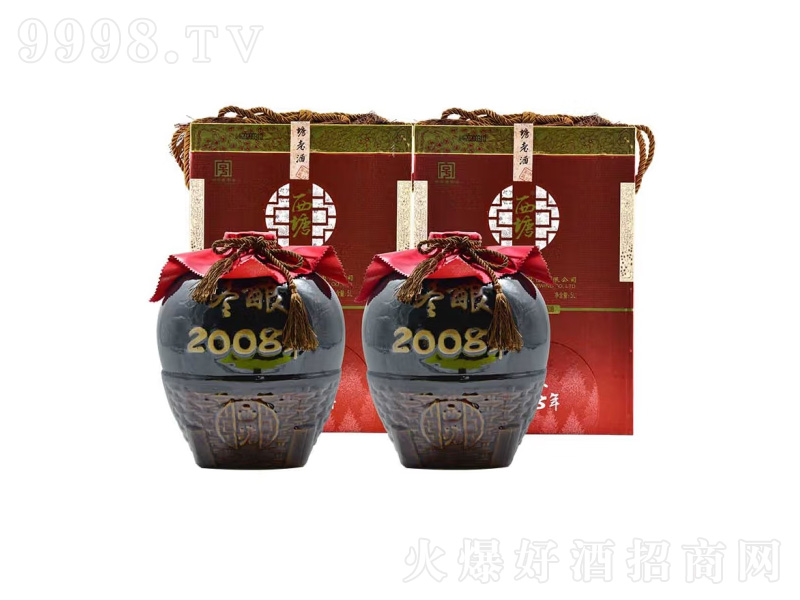 2008ֹSƶYЉbưͼơ105L