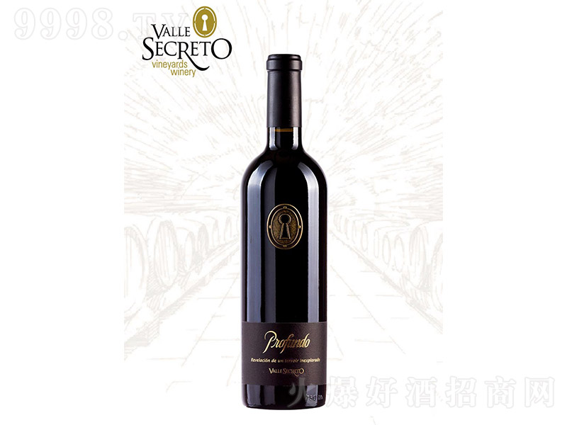 ����ħɽ�Ѳؼt���Ѿơ�750ml��