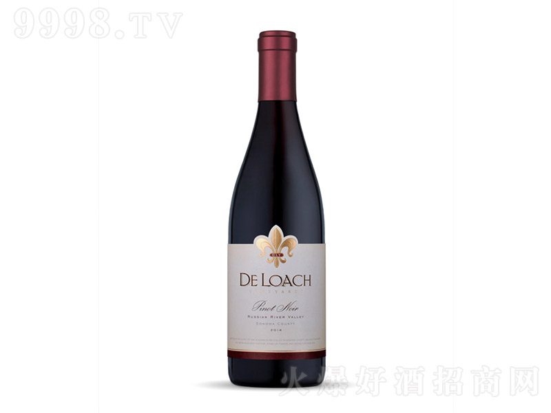 �_�����_˹�ӹȺ�Ƥ�Z�ɼt���Ѿơ�750ml��-�t�����Ϣ