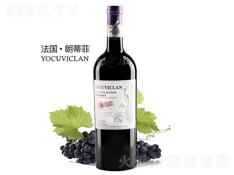 �ʵٷƿ�ȸ���Ҹɼt���Ѿơ�13�� 750ml��