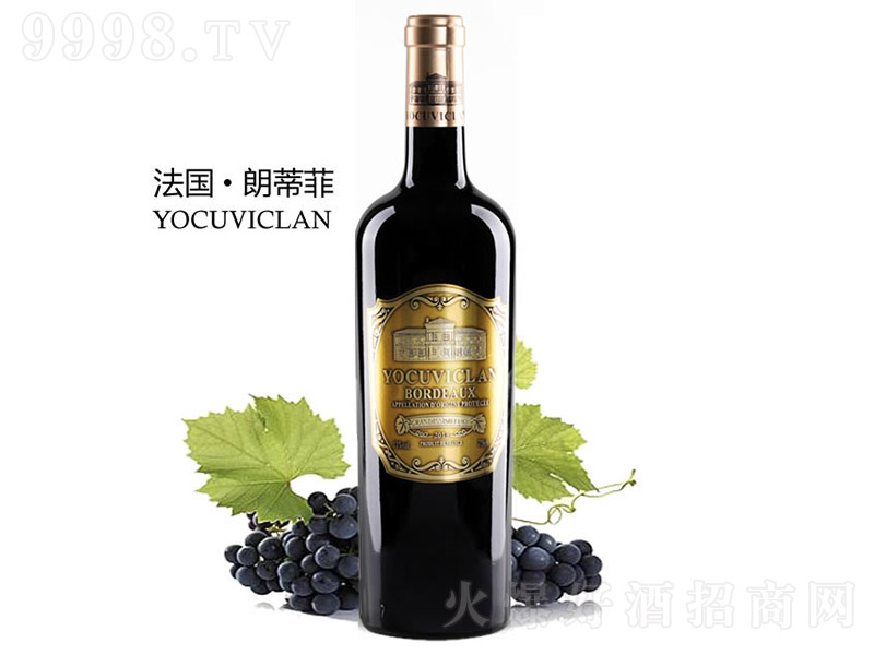 �ʵٷƳǱ��ɼt���Ѿơ�13�� 750ml��