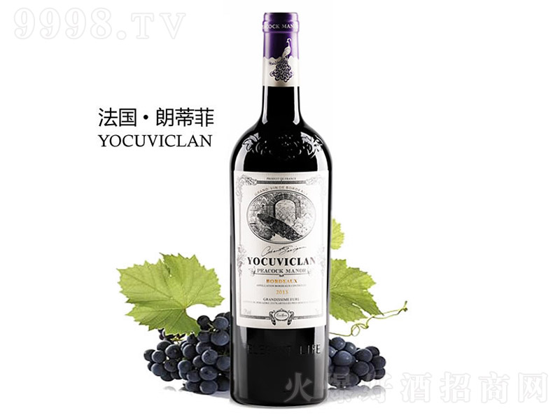 �ʵٷƿ�ȸ�f�@�ɼt���Ѿơ�13�� 750ml��