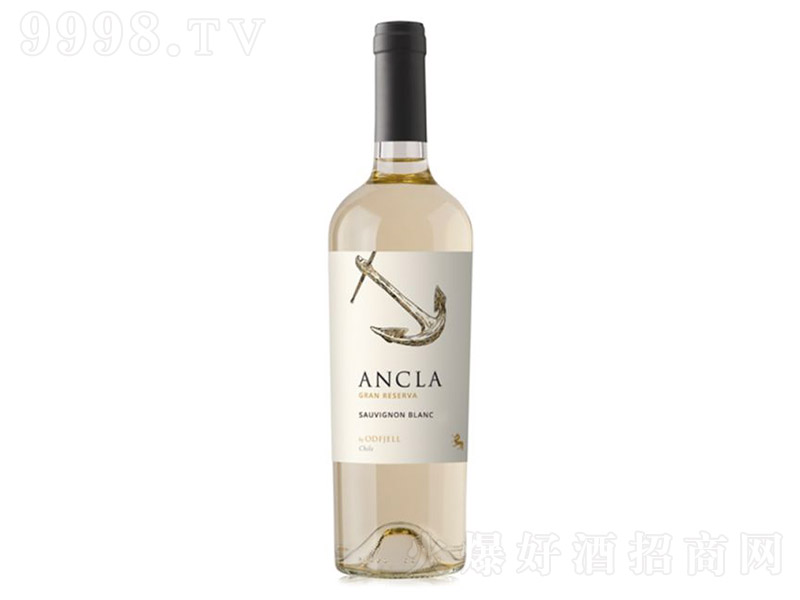 ����ʥ���|��Ȱ������ؼ�����L��˼�����Ѿơ�13.5�� 750ml��