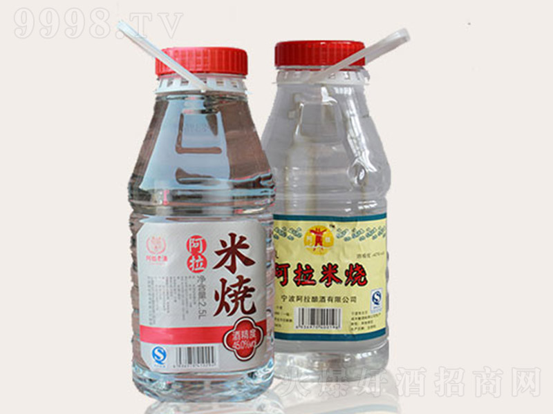 �����Ͼư����ן��ơ�45�� 2.5L��