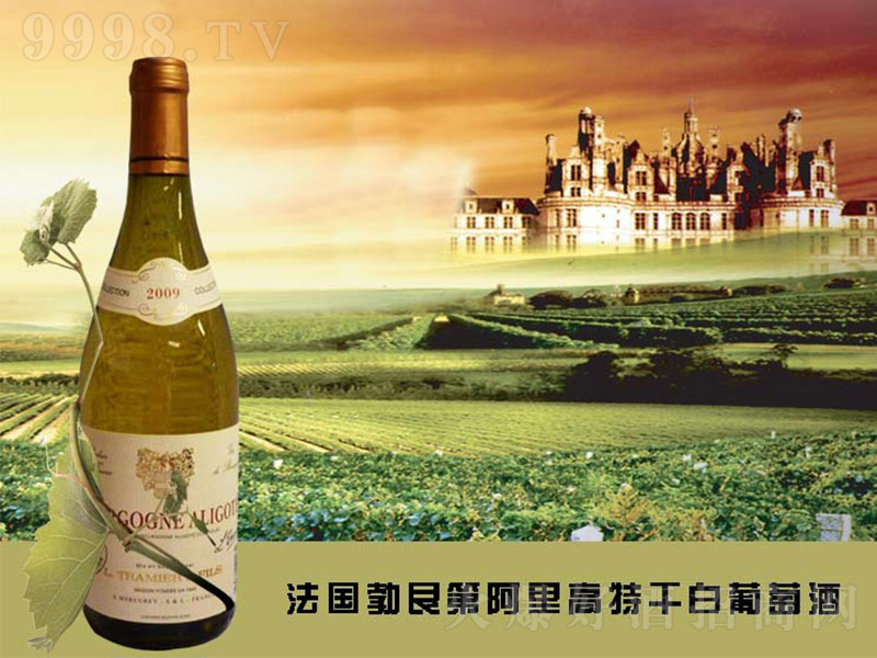 ����(gu��)���޵ڰ�����ظɰ����Ѿ�750ml-�t�����Ϣ