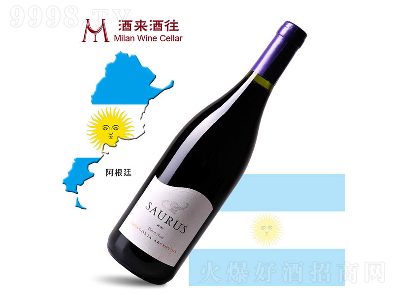 ����͢2009ʩ�_�¼�����f���_˹��Ƥ�Z�ɼt���Ѿ�750ml-�t�����Ϣ