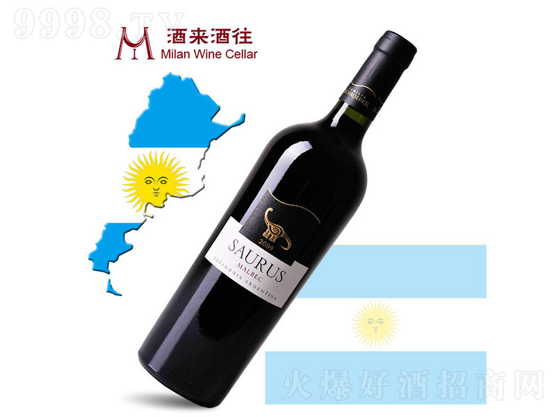 ����͢2009ʩ�_�¼�����f���_˹�R���׿˸ɼt���Ѿ�750ml-�t�����Ϣ