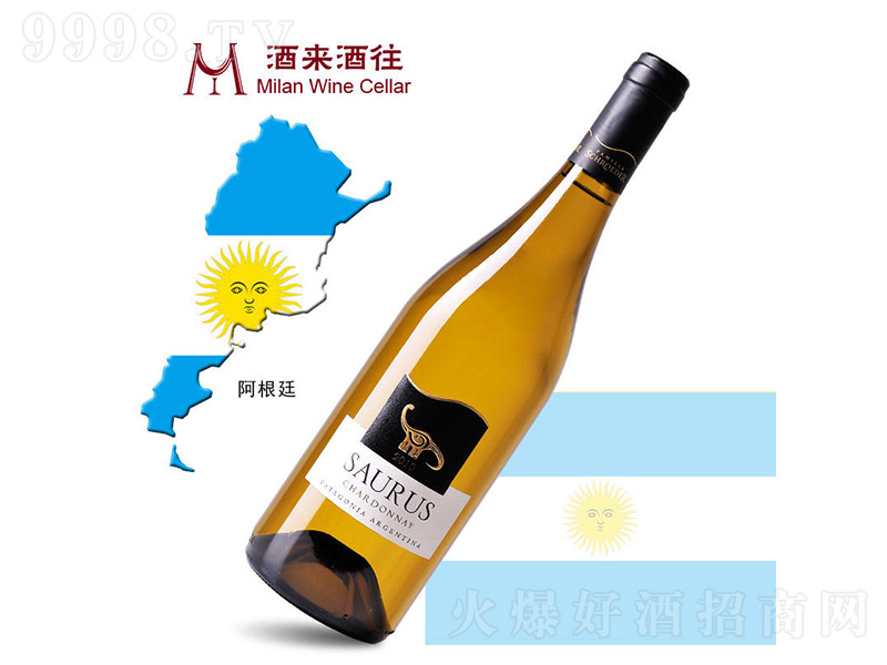 ����͢2010ʩ�_�¼�����f���_˹ϼ�����ɰ����Ѿ�750ml-�t�����Ϣ