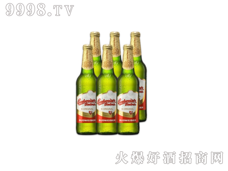 ٵøBudejovckyѲؽݿԭbMھơ330ml