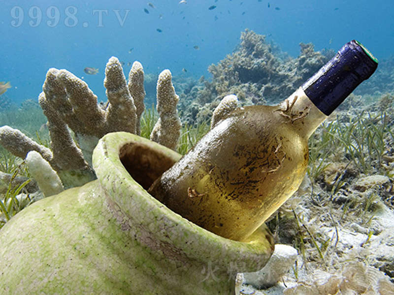 �������Ѹɰ����Ѿơ�750ml��