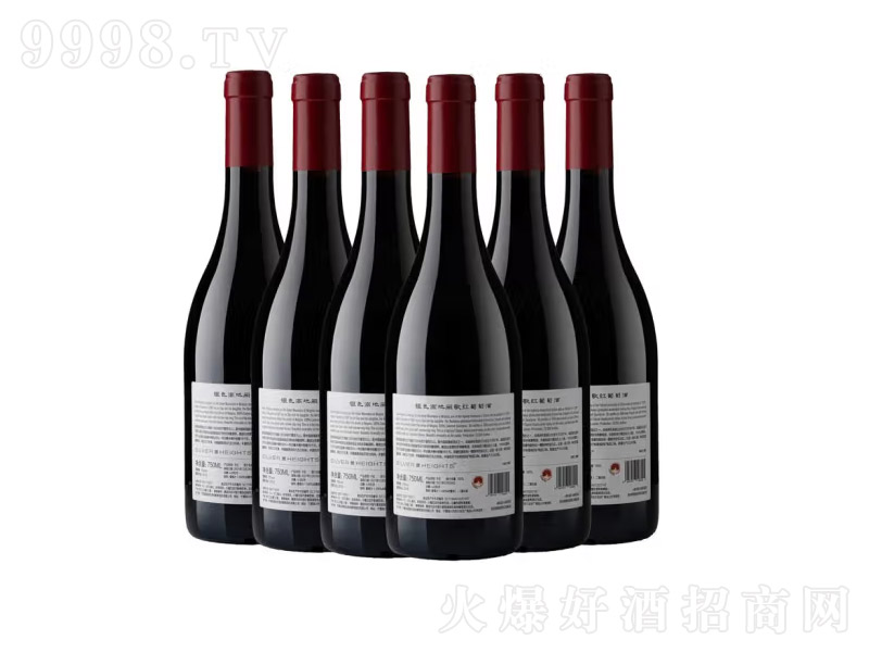 �����R�mɽ�|´���ѾƮa�^��Դ�yɫ�ߵؾ��f�I��ɼt750ml-�t�����Ϣ