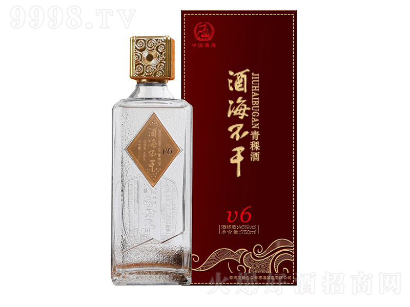 �ƺ�����V6�� �����͡�46 750ml��-�׾����Ϣ