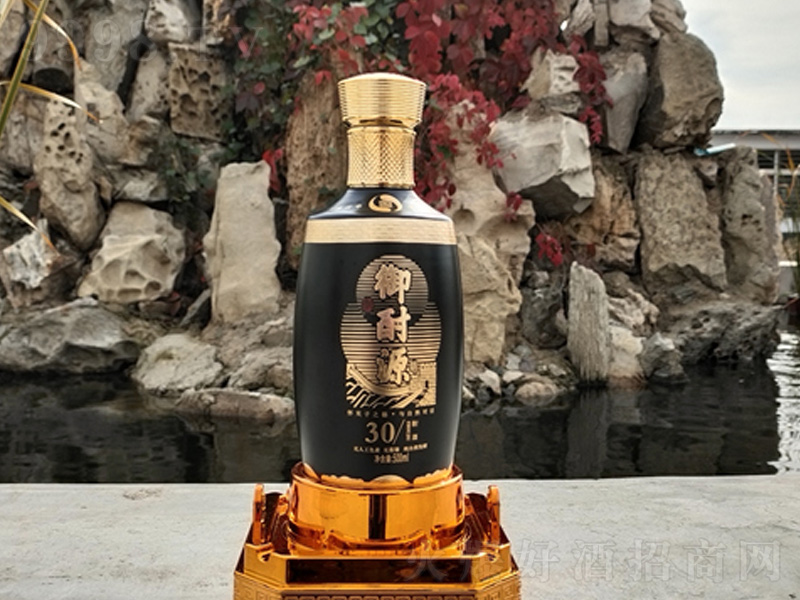 ����Դ��ƿ30