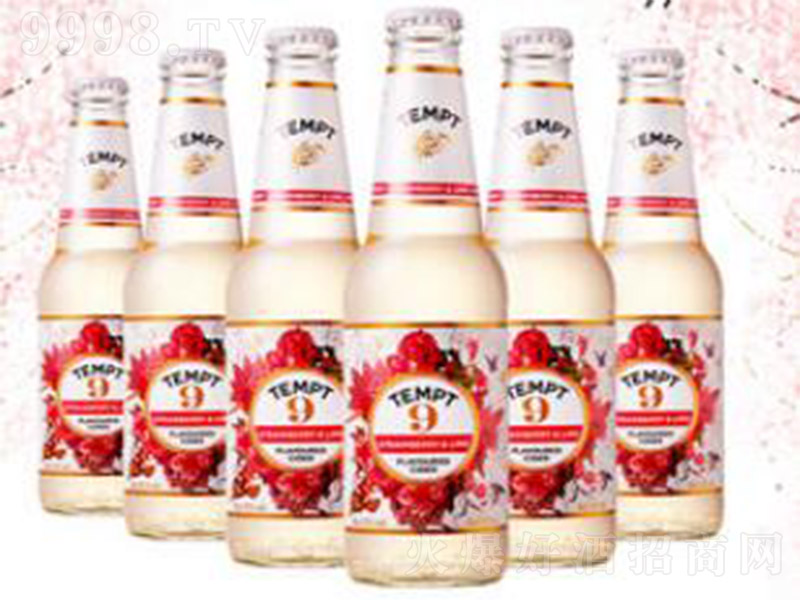 TEMPT-CIDERT9̖4330ml