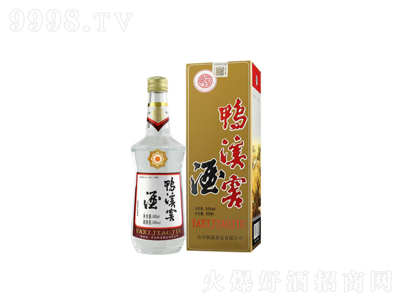 FϪѝͰ׾Ə͹Ű桾54500ml