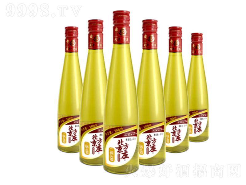 �������f����^�����SС�� �����͡�42�� 248ml��