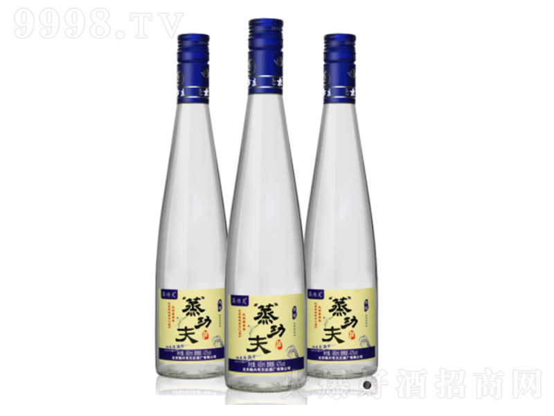 �������f������� �����͡�42�� 480ml��