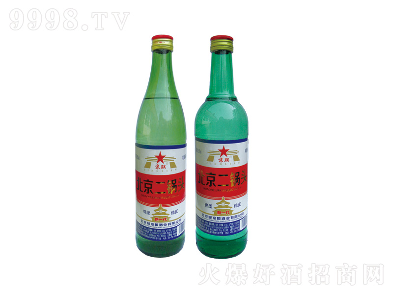 ����������^�Ɲ����;����̡�49��500ml��