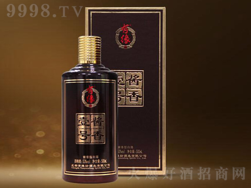 �о����u��Ҽ̖(h��o)�u���͡�53��500ml��