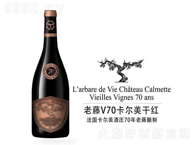 ����V70�������ɼt���Ѿơ�750ml��-�t�����Ϣ