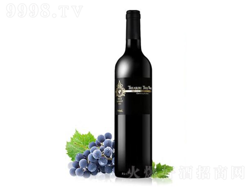 �Ĵ������P��������613������ϼ��ɼt���Ѿ�750ml-�t�����Ϣ