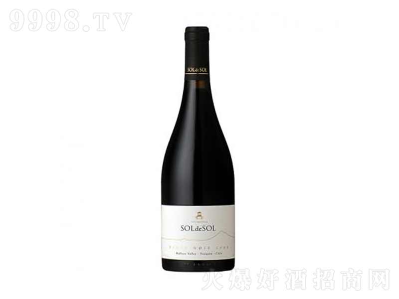 ̫�(y��ng)��Ƥ�Z�ɼt���Ѿơ�13��750ml��-�t���(l��i)��Ϣ