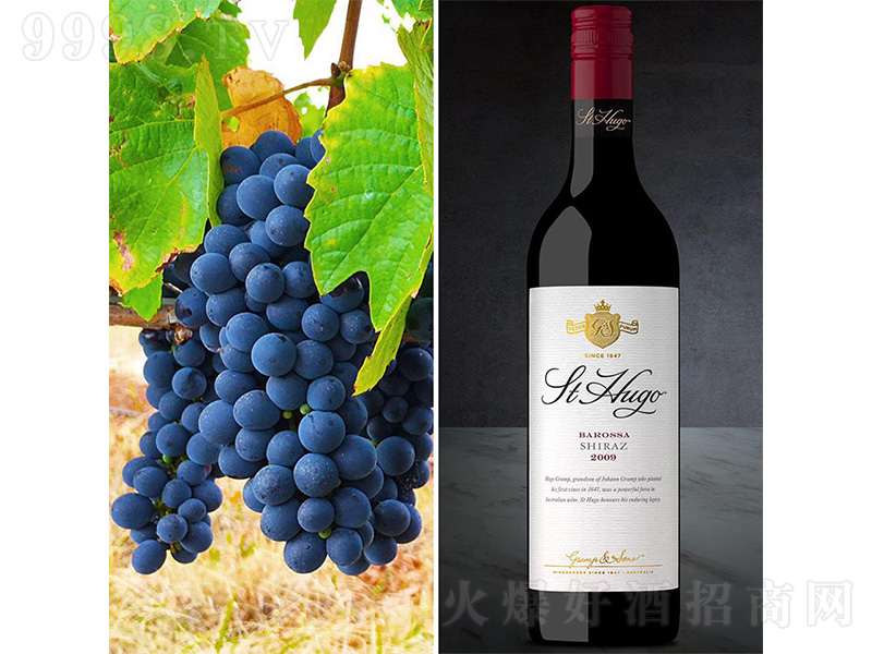 ���޽ܿ�˹ʥ���St.Hugo���_�_�����ɼt���Ѿ�2009��750ml��