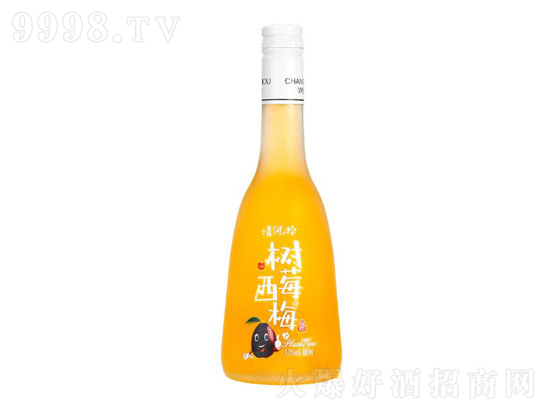 (sh)ݮ÷ζŮʿͶȾơ5385ml