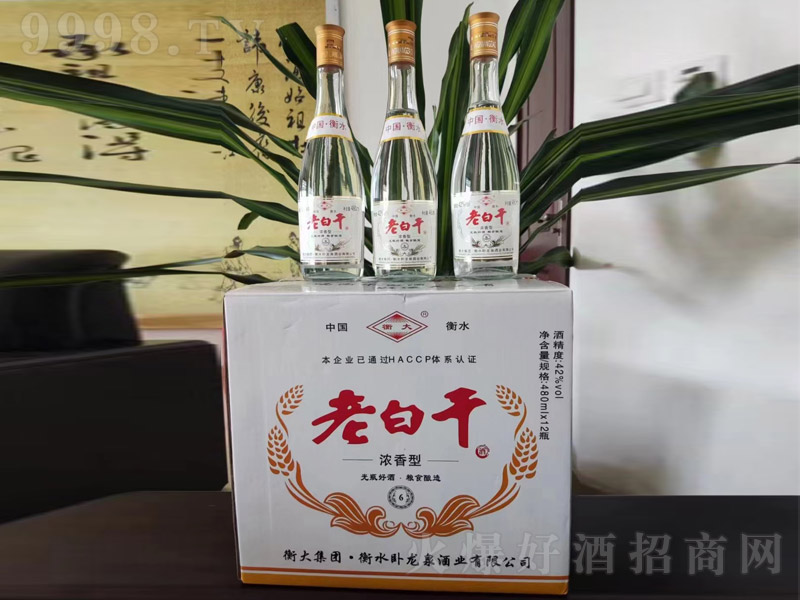 �P��Ȫ��ˮԭ�{��6 �����͡�42�� 480ml��12ƿ��-�׾����Ϣ