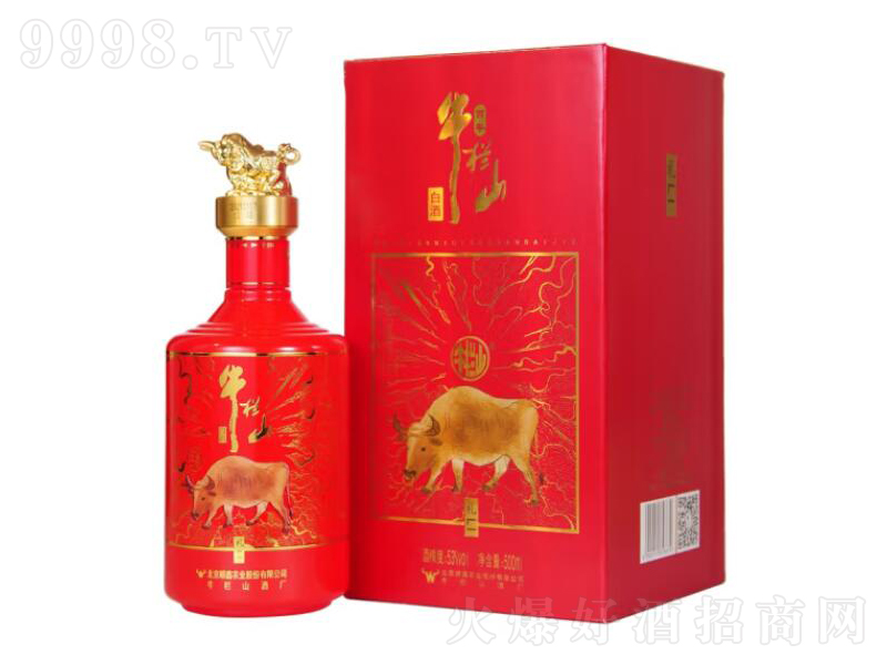 ţ��ɽ�Y����^�����͡�53��500ml��-�׾����Ϣ