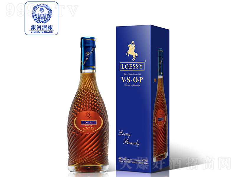 ���[ԊVSOP�@�ذ��m�ء�1L��