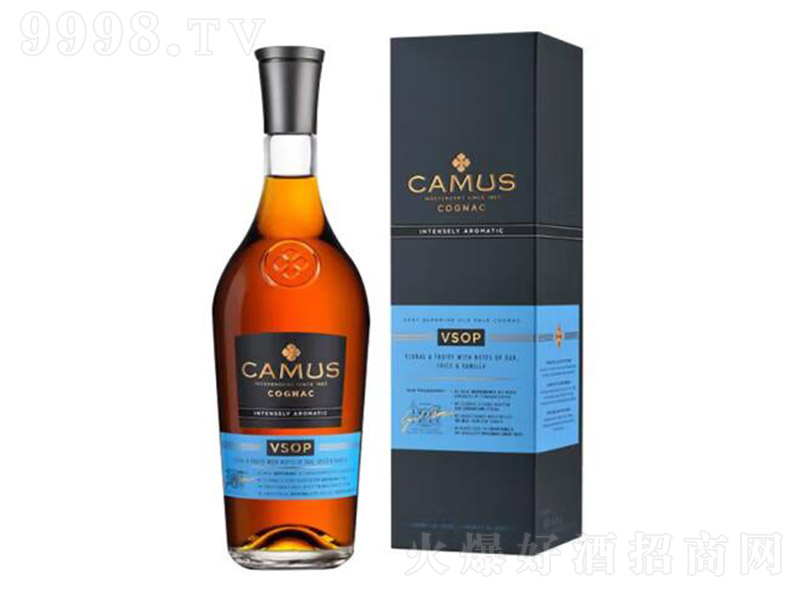 �𻨿�ĽVSOP�����������ذ��m��700ml