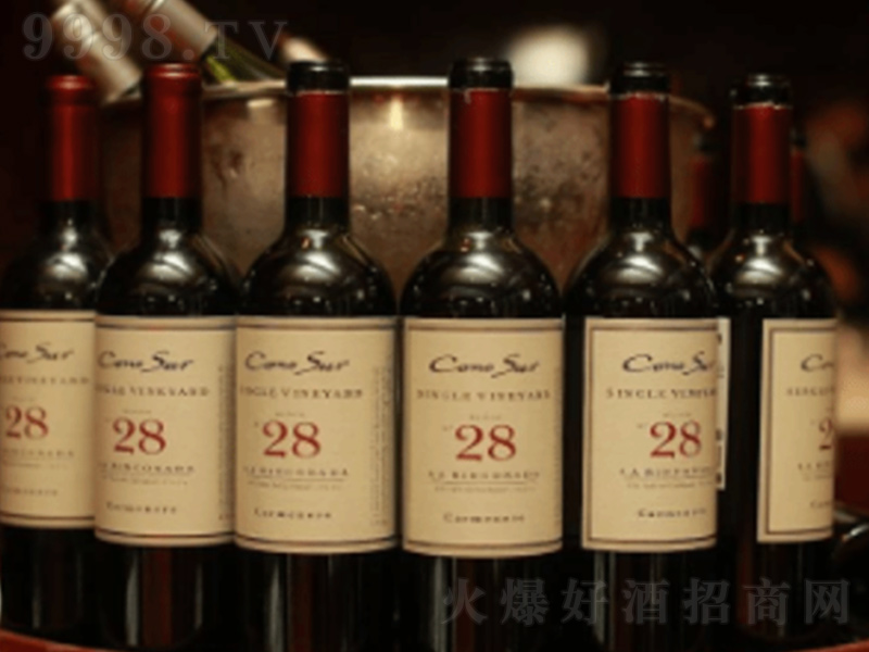 �������Z�K��һ�@28�^�����ȼt��ݮ�ơ�750ml��