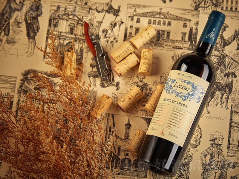 ���W�����x֮�Ӽt���Ѿơ�750ml��