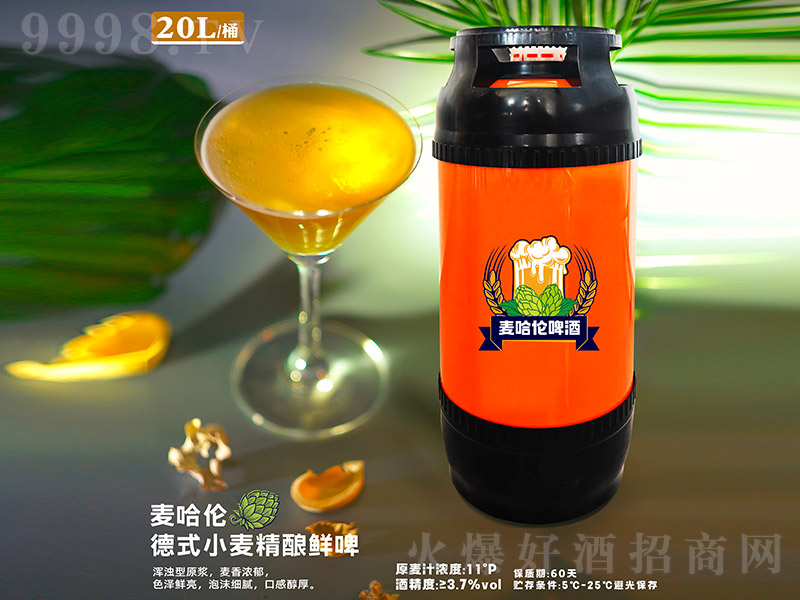 ��������ʽС������rơ��11�� 20L��