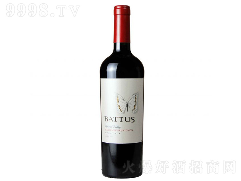 ��������ɽ�Ȱ͈D˹��ϼ��t���Ѿơ�750ml��-�t��������Ϣ