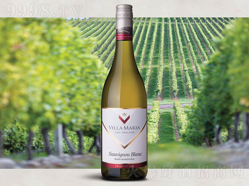 �����m�¬���villa-maria��ϻ�K�S���L��˼�ɰ����Ѿ�750ml