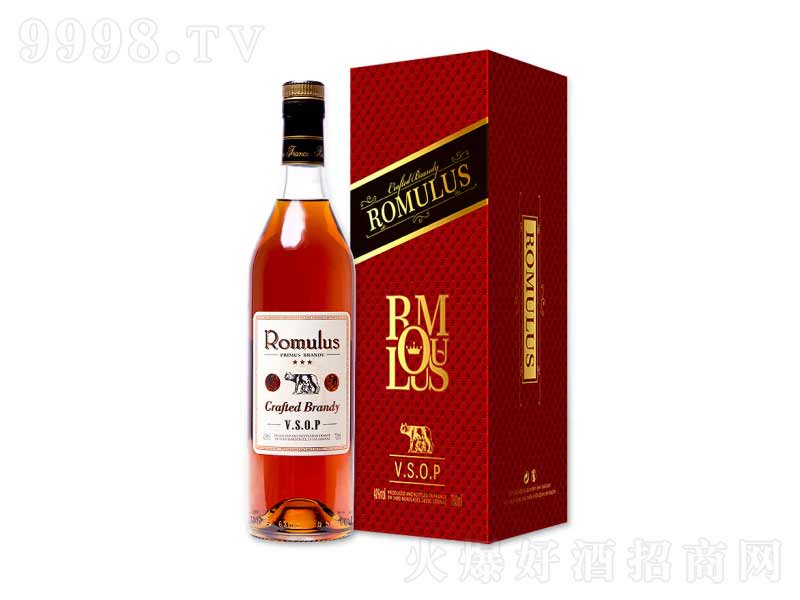 ƷԭƿM_Ľ·˹vsopmء40700ml