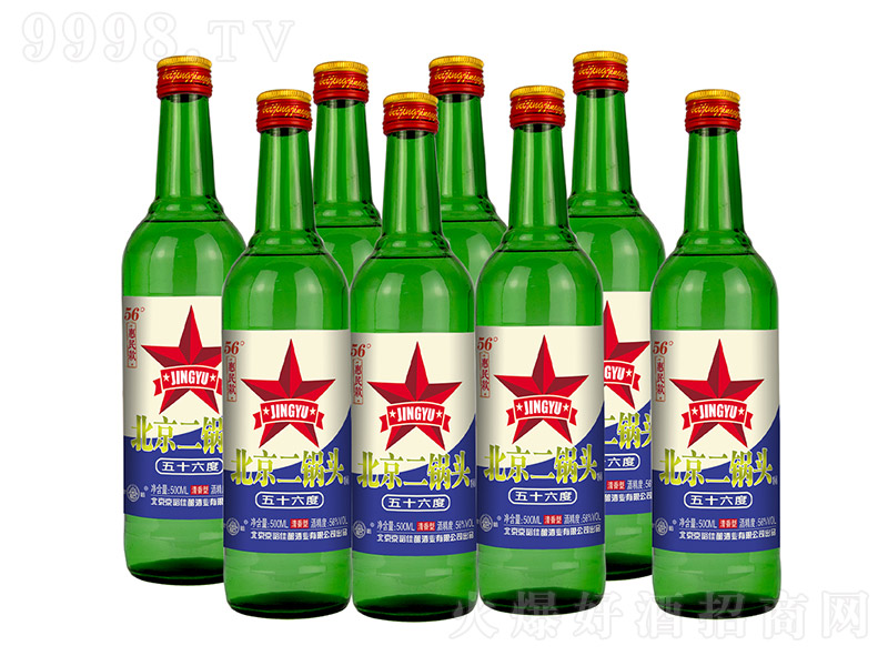 ������������^�ƻ���� �����͡�56�� 500ml��